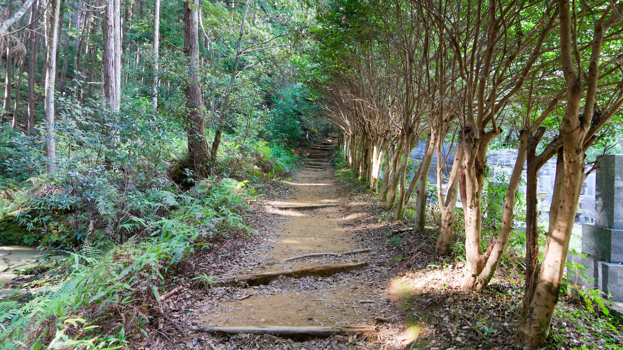 08-Kumano Kodo (47).jpg